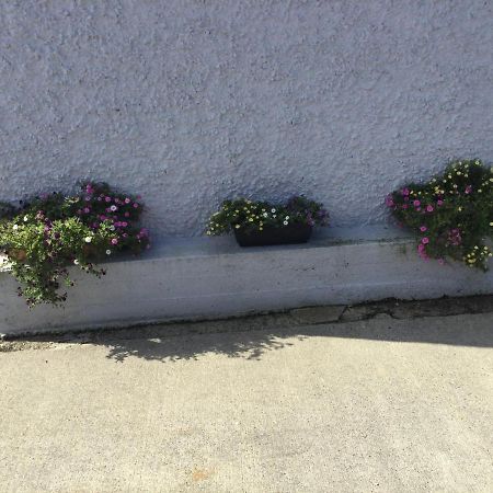 Brigid M'S Farm House Killashandra Exterior foto