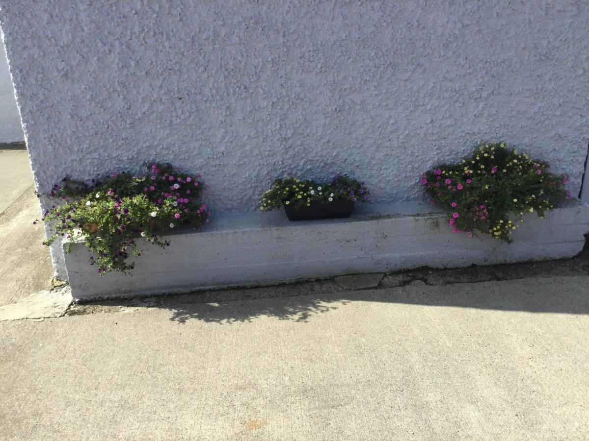 Brigid M'S Farm House Killashandra Exterior foto